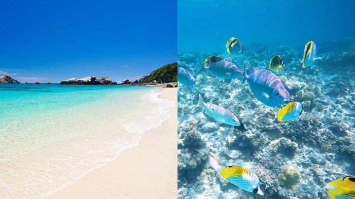 第10名 潛水、浮潛